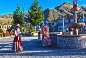 Depuis Arequipa : Circuit de 2 jours au Canyon de Colca avec transfert à Puno