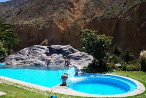 Ab Arequipa: 2-tägige Colca Canyon Trekking Tour
