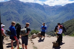 Fra Arequipa: 2-dagers Colca Canyon Trek Tour