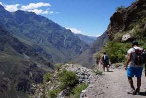 Från Arequipa: 2-dagars vandringstur i Colca Canyon