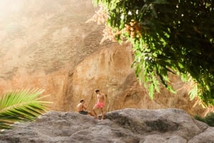 Von Arequipa: 2-tägige Trekking-Tour durch den Colca Canyon