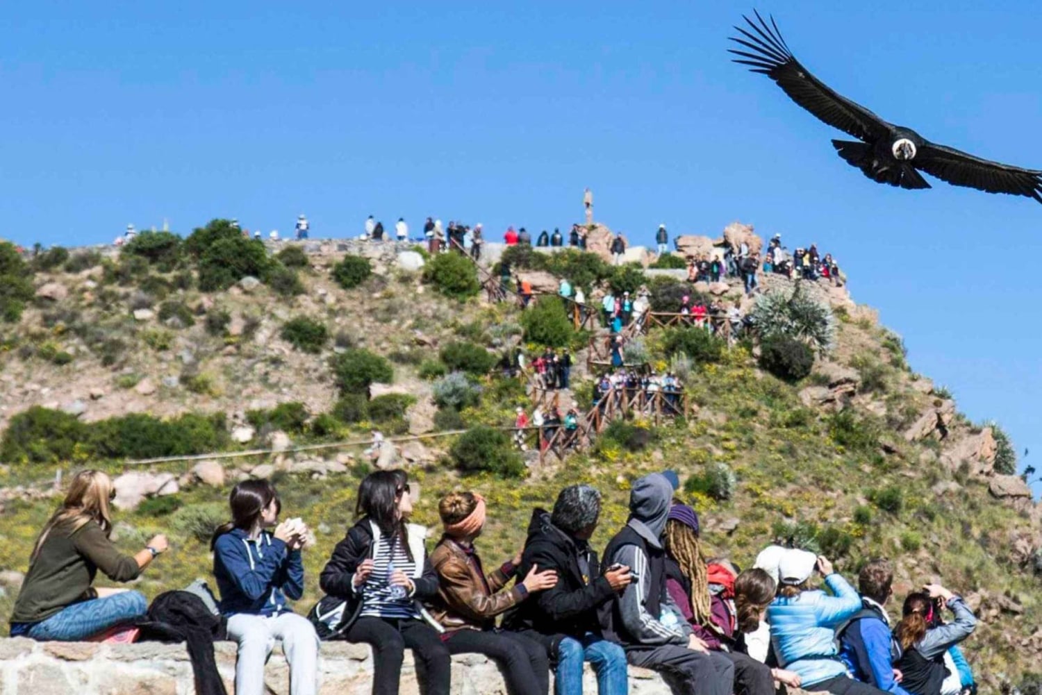 From Arequipa: 2-day Colca Canyon Trekking Tour
