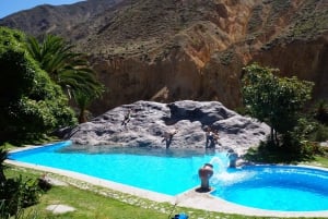 From Arequipa: 2-day Colca Canyon Trekking Tour