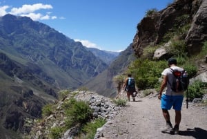 From Arequipa: 2-day Colca Canyon Trekking Tour