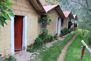 From Arequipa: 2-Day Colca Canyon with Drop Off in Puno