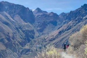 From Arequipa: 2 days Colca hike from Arequipa, Meals Included