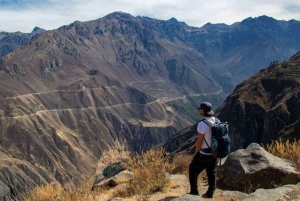 From Arequipa: 2-day Colca hike, meals included