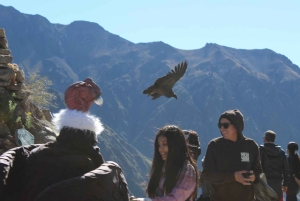 From Arequipa: 2-day Colca hike, meals included