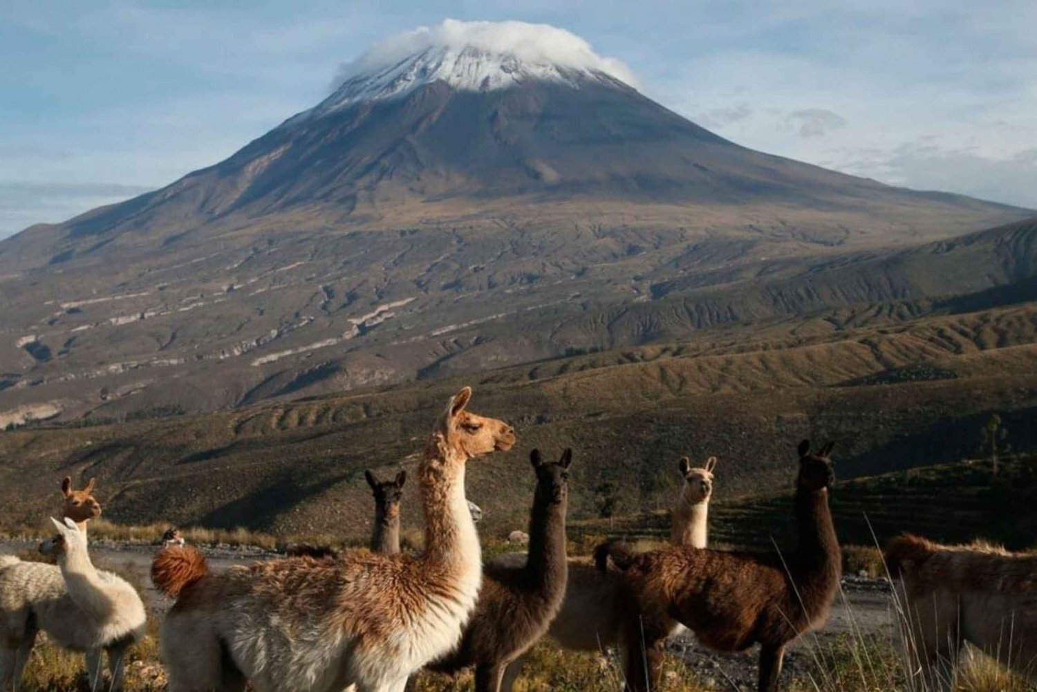 De Arequipa: excursão de 2 dias ao Vulcão Misti