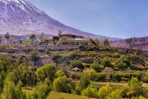 From Arequipa: 2-day excursion to Misti Volcano