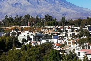From Arequipa: 2-day excursion to Misti Volcano