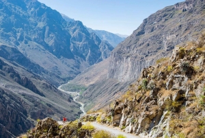 From Arequipa: 2-day hike to Colca Canyon, ending in Puno
