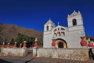 Desde Arequipa: Excursión de 2 días al Cañón del Colca con traslado a Puno