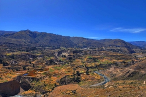 Desde Arequipa: Excursión de 2 días al Cañón del Colca con traslado a Puno