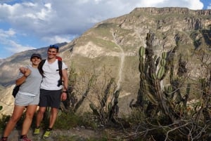 Vanuit Arequipa: 3-daags Colca Canyon trektocht avontuur