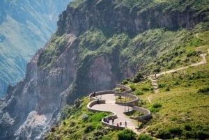 Fra Arequipa: 3-dagers Colca Canyon-vandretur