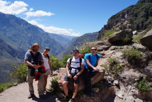 Au départ d'Arequipa : circuit aventure de 3 jours dans le canyon de Colca