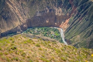Desde Arequipa: Senderismo 3 días por el Cañón del Colca