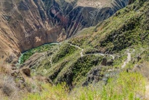 Desde Arequipa: Senderismo 3 días por el Cañón del Colca