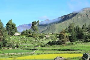 From Arequipa: 3-Day Trekking Tour to Colca Canyon