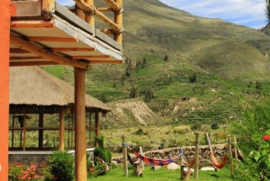 From Arequipa: Colca Canyon 2-Days Tour with Accommodation