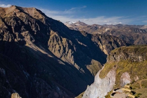 Depuis Arequipa : Canyon de Colca (tout compris) | Journée complète |