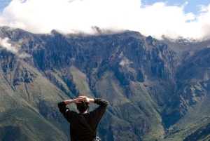 Depuis Arequipa : Canyon de Colca (tout compris) | Journée complète |