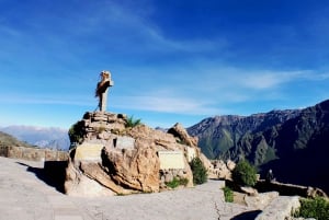 From Arequipa: Colca Canyon Day Tour to Puno