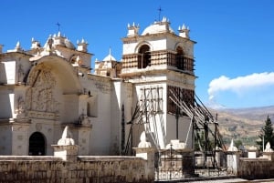 From Arequipa: Colca Canyon Day Tour to Puno
