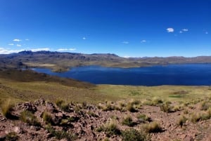 Fra Arequipa: Colca Canyon dagstur til Puno