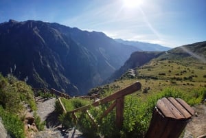 Vanuit Arequipa: Colca Canyon dagvullende tour met gids
