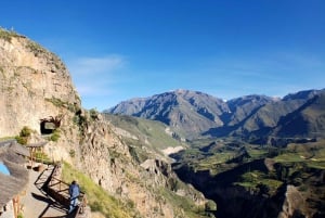 De Arequipa: Excursão guiada de 1 dia ao Colca Canyon