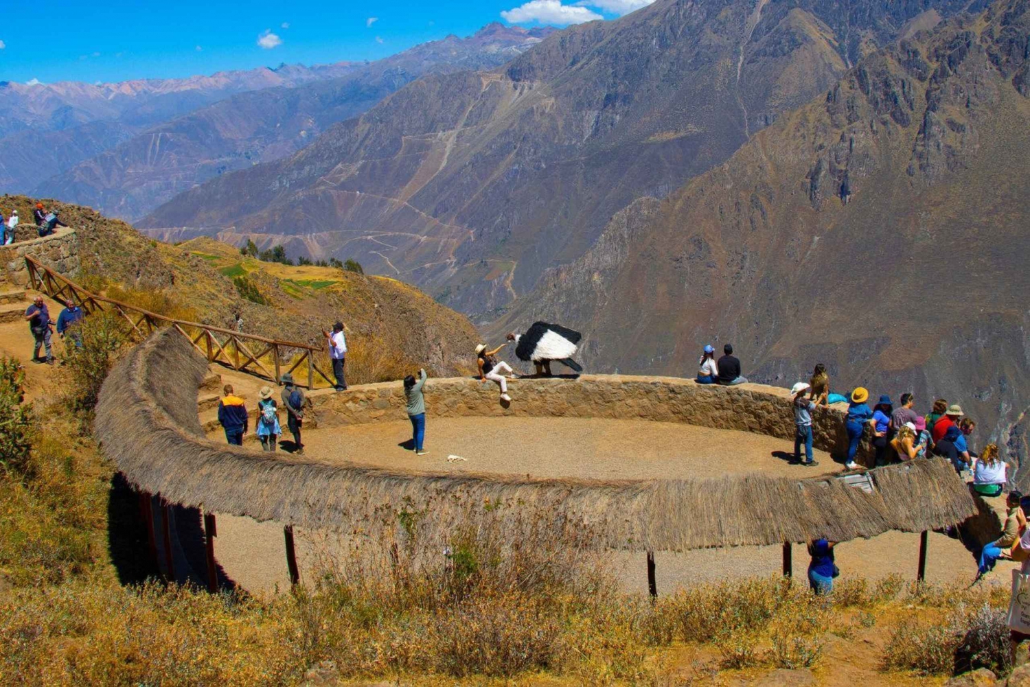 De Arequipa: Excursão de 1 dia ao Colca Canyon com café da manhã
