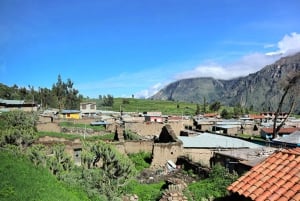 From Arequipa: Colca Canyon Full-Day Tour