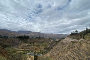 From Arequipa: Colca Canyon & La Calera Thermal Waters