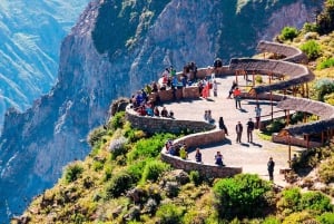 Fra Arequipa: 1-dags guidet tur til Colca Canyon med måltider