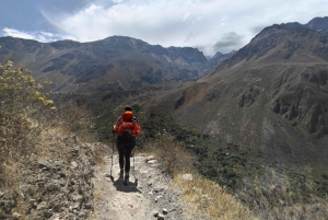 VON AREQUIPA: Colca Canyon Trekking 3 Tage