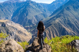 Från AREQUIPA: Colca heldag med måltider inkluderade