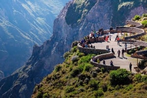 Från AREQUIPA: Colca heldag med måltider inkluderade