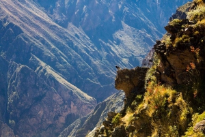 Ab Arequipa: Colca-Tal und Thermalbäder Kleingruppenreise