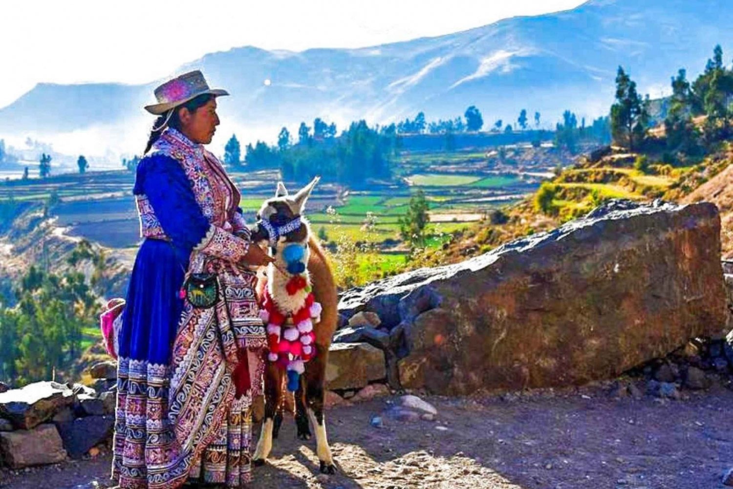 From Arequipa: Day Tour to the Colca Canyon.