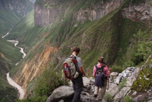 Depuis Arequipa : Excursion d'une journée au Canyon de Colca