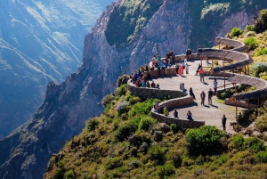 Från Arequipa: Utflykt till Chivay och Colca Canyon