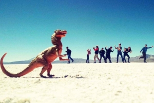 Depuis Arequipa : Excursion à la lagune de Salinas