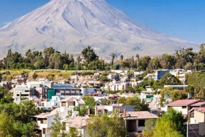 Depuis Arequipa : Excursion à la lagune de Salinas