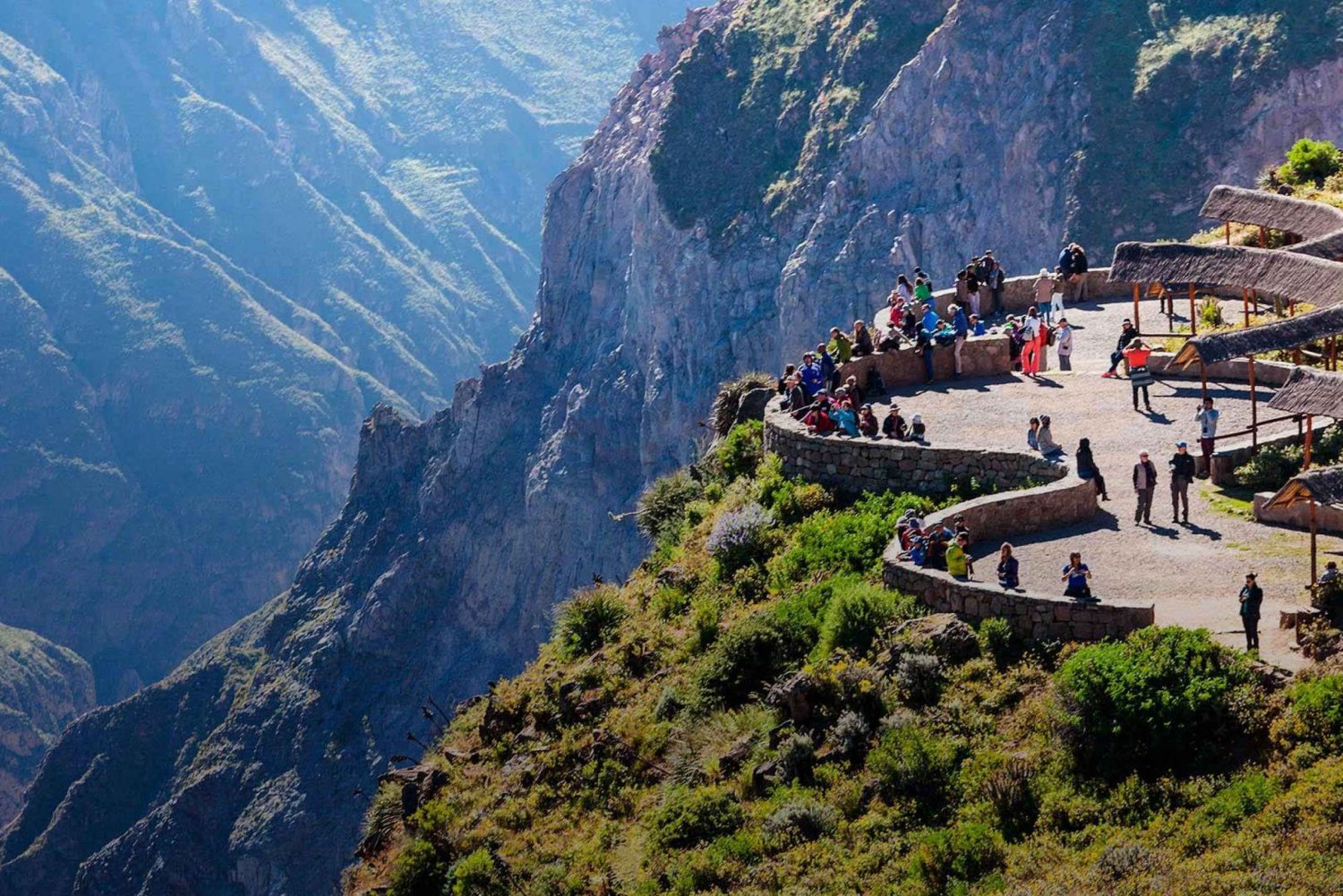 Van Arequipa: excursie naar de Colca Canyon eindigend in Puno
