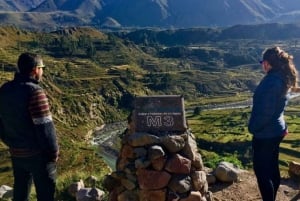 De Arequipa |Excursão ao Colca Canyon, terminando em Puno.