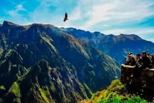Depuis Arequipa : Excursion au Canyon de Colca se terminant à Puno