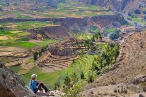 Depuis Arequipa : Excursion au Canyon de Colca se terminant à Puno