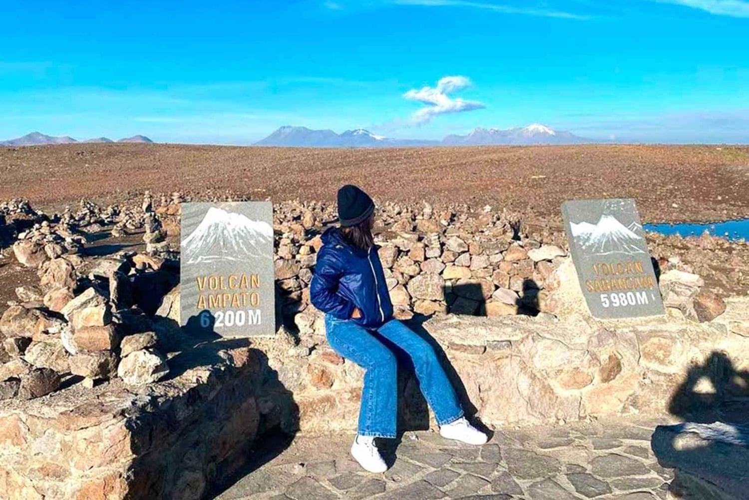 Из Арекипы: Экскурсия в лагуну Салинас